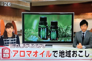 TNC テレビ西日本「スーパーニュース」で特集されました。